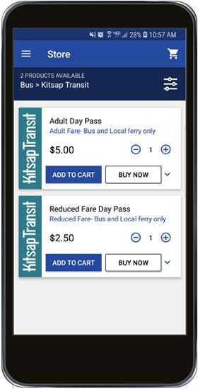 buying-day-pass-transit-go.jpg